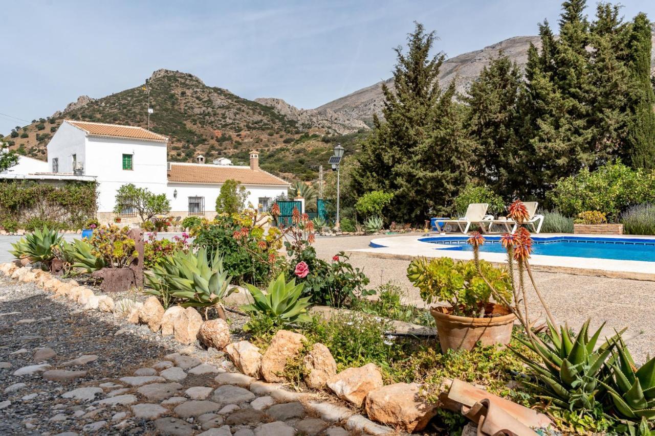 Holiday home Rural El Viso
